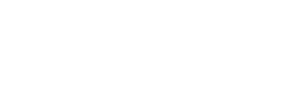 Organización SAR-SAR